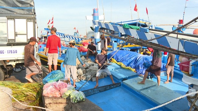 Ngư dân Lâm Đồng mở biển đầu năm 2026 với kỳ vọng mùa đánh bắt bội thu - Ảnh 3. Ngư dân Lâm Đồng mở biển đầu năm 2026 với kỳ vọng mùa đánh bắt bội thu - Ảnh 3.
