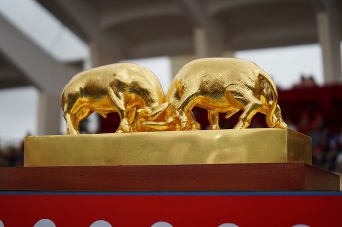 "Ông trâu" số 06 giành chức vô địch lễ hội chọi trâu truyền thống Đồ Sơn 2025- Ảnh 7.