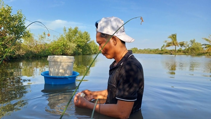 VIDEO: Mò hang cấm lịch ở Cà Mau - Ảnh 3.