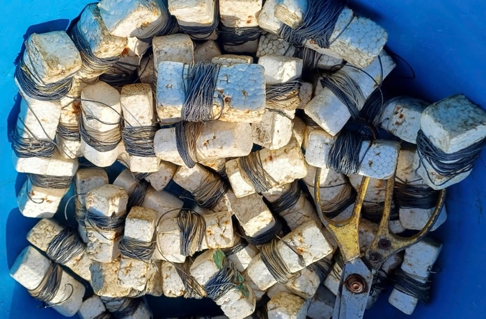 VIDEO: Mò hang cấm lịch ở Cà Mau - Ảnh 5.