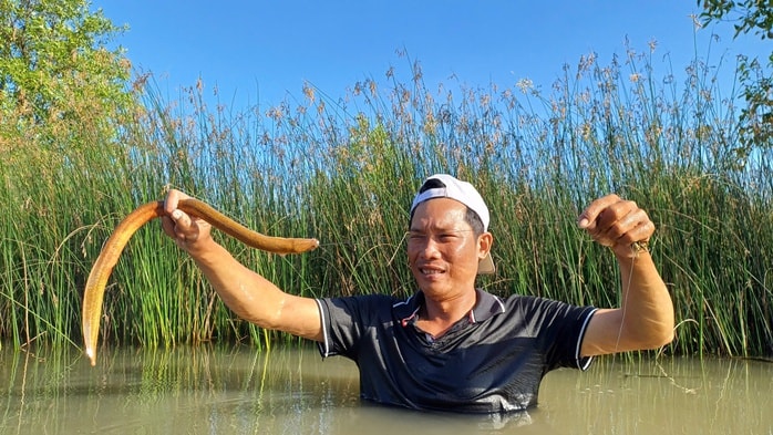 VIDEO: Mò hang cấm lịch ở Cà Mau - Ảnh 7.