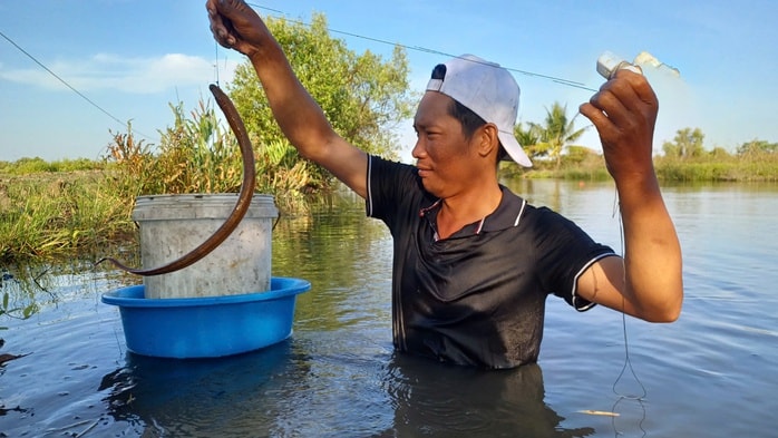 VIDEO: Mò hang cấm lịch ở Cà Mau - Ảnh 8.