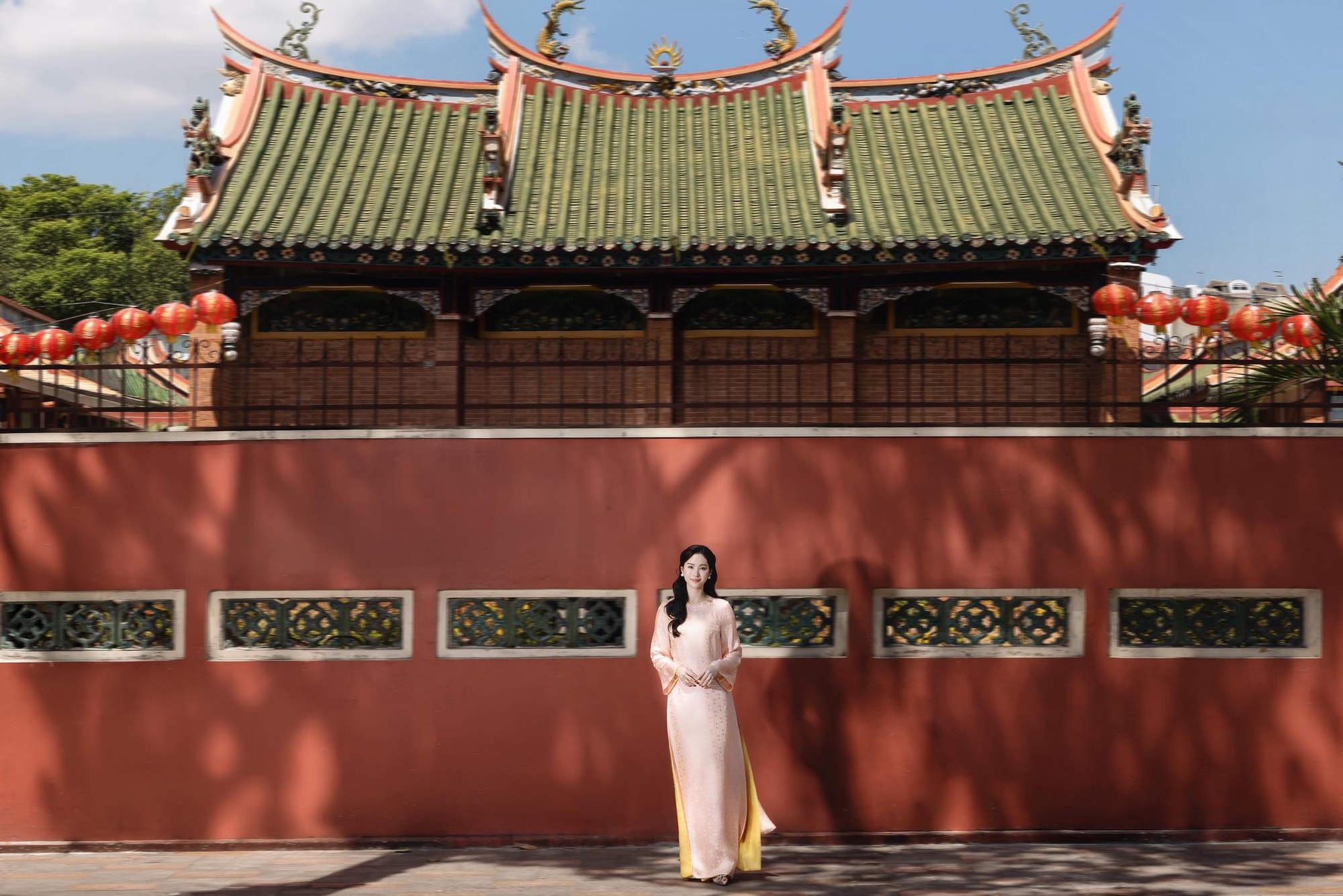 Phản ứng của Đặng Thu Thảo khi được khen 'đẹp nhất Việt Nam'- Ảnh 4.