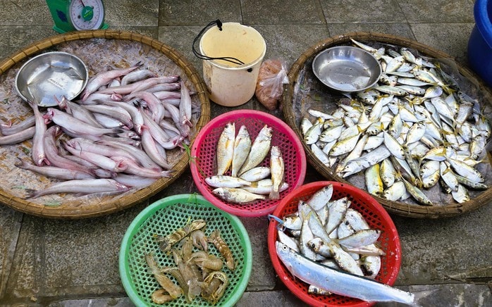 Gần 1 triệu đồng/kg cá khoai, ngư dân hồ hởi "xông biển" ngày đầu năm mới - Ảnh 4.