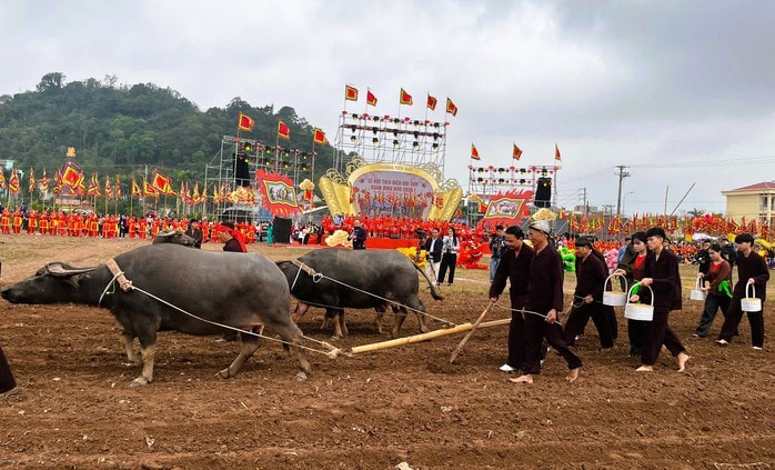 Bí thư Ninh Bình xuống đồng đi cày ở lễ hội Tịch điền 2026 - Ảnh 3.