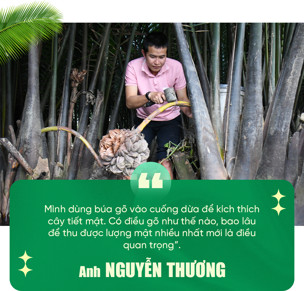 Người đàn ông khùng khi bỏ việc về quê mát xa cho dừa  - 12