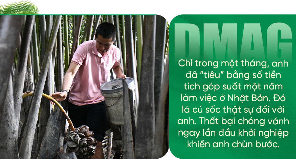 Người đàn ông khùng khi bỏ việc về quê mát xa cho dừa  - 8