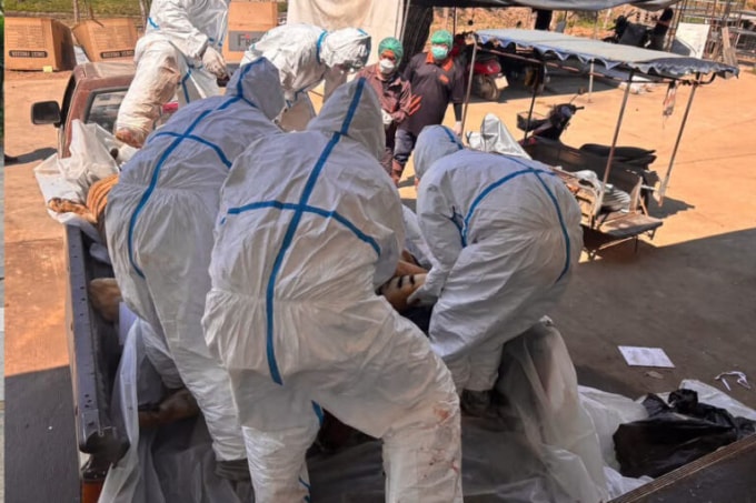 Nhiều nhân viên được huy động để di chuyển các cá thể hổ do kích thước lớn.