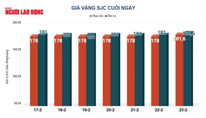 Giá vàng hôm nay 24-2: Vàng thế giới tăng 109 USD - Ảnh 2.