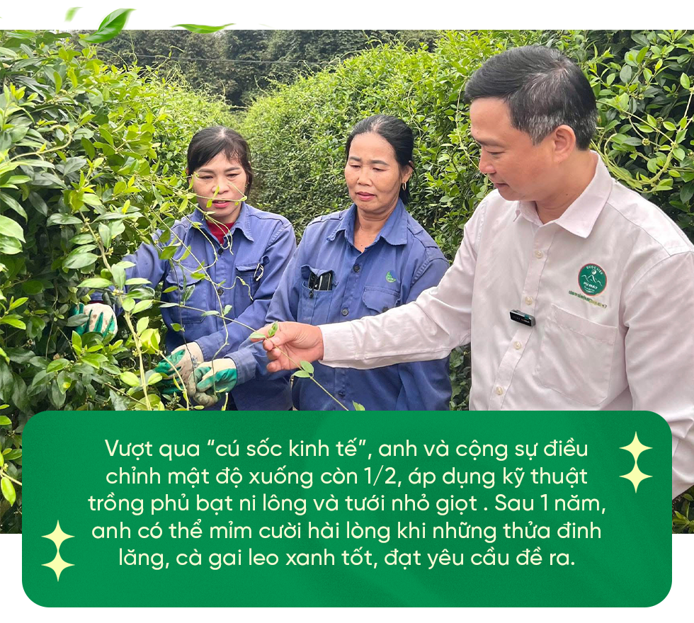 Giám đốc kể “cú sốc kinh tế” khi rời vị trí lãnh đạo trong cơ quan nhà nước - 11