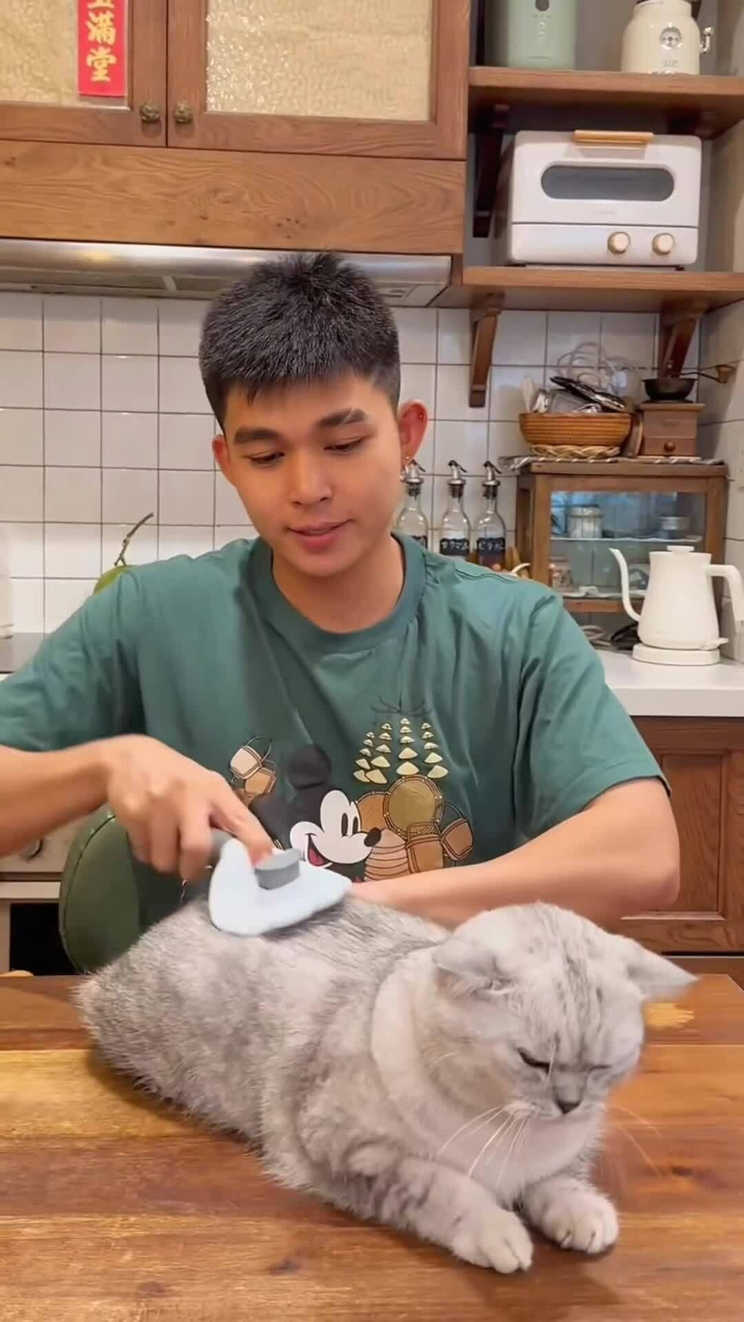 Jun Phạm chơi đùa với mèo cưng