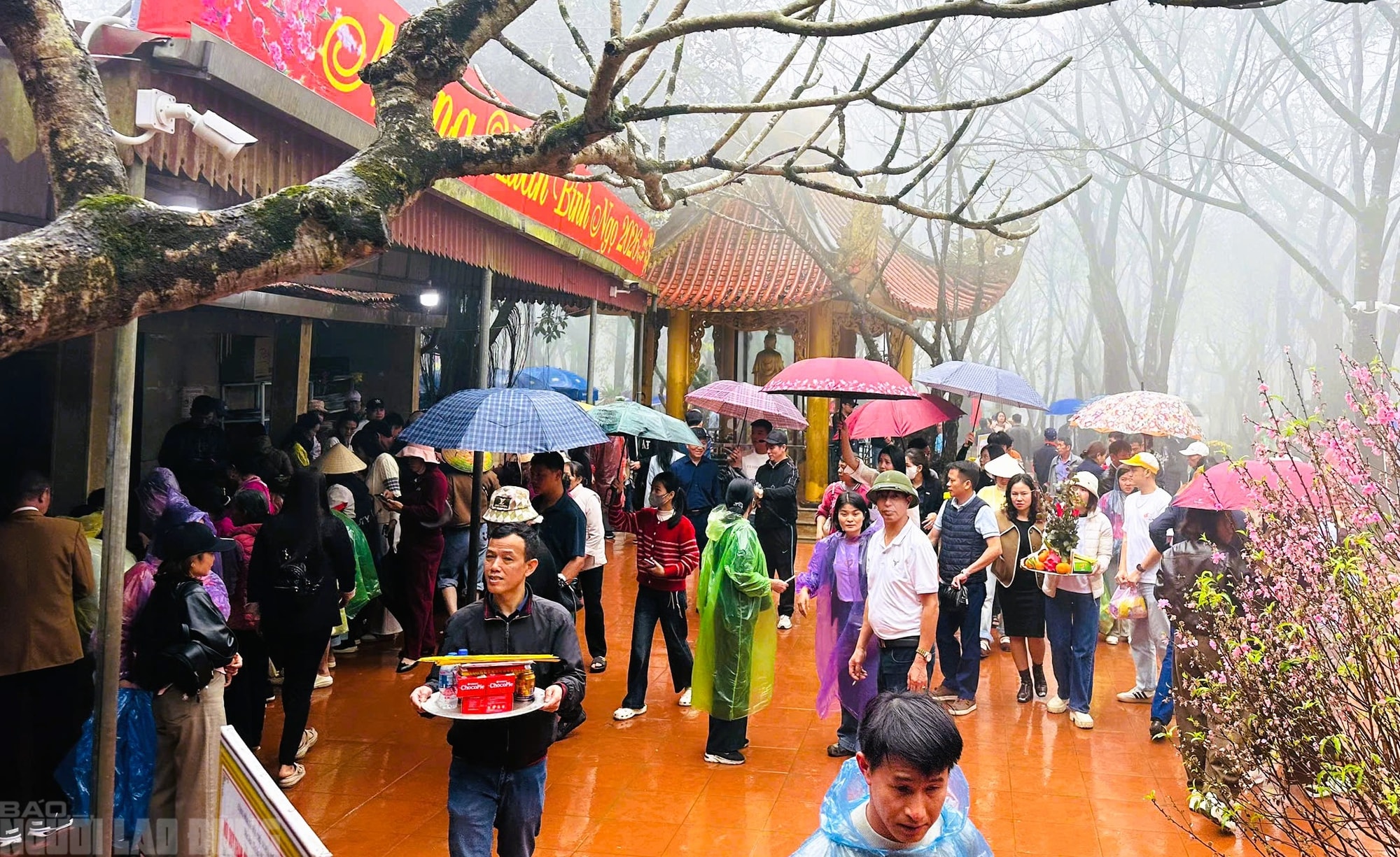 VIDEO: Người dân "đội mưa" đi quanh huyệt đạo thiêng trên đỉnh núi Nưa cầu may mắn - Ảnh 5.