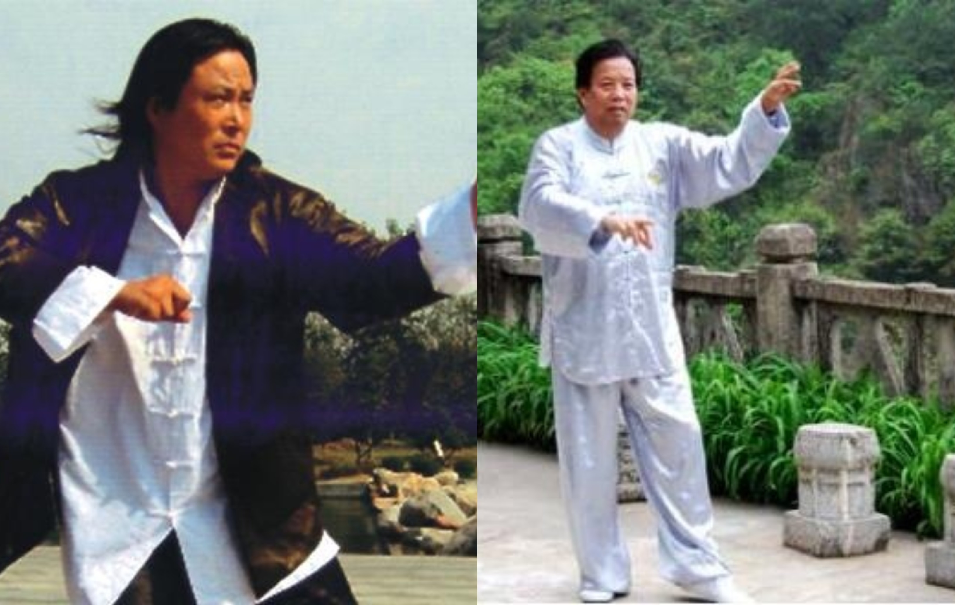 Trương Lễ Nghĩa được xem là cao thủ số 1 của võ thuật Trung Quốc đương đại