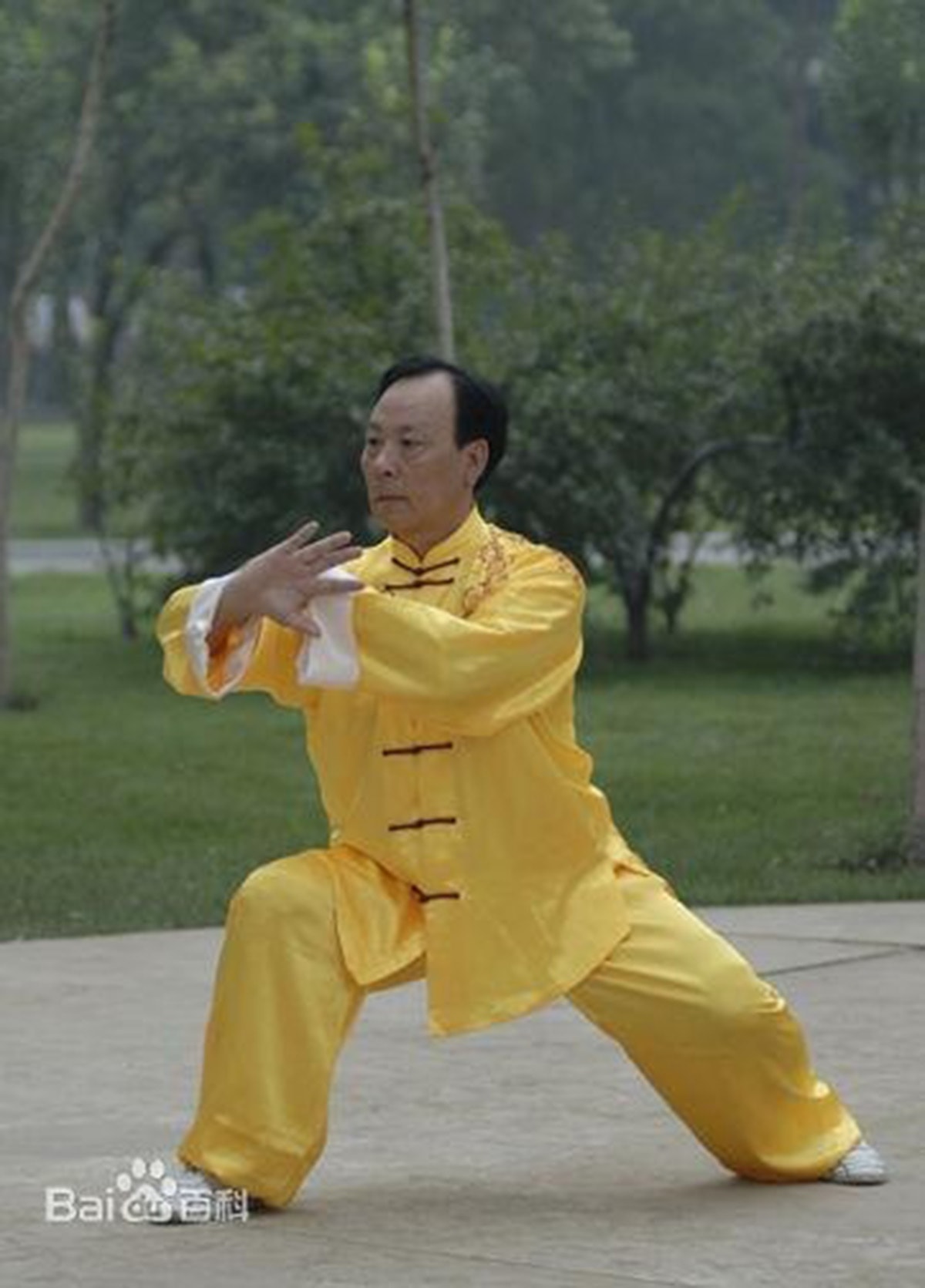 Trương Chí Tuấn là cao thủ số một Trần thị Thái Cực Quyền