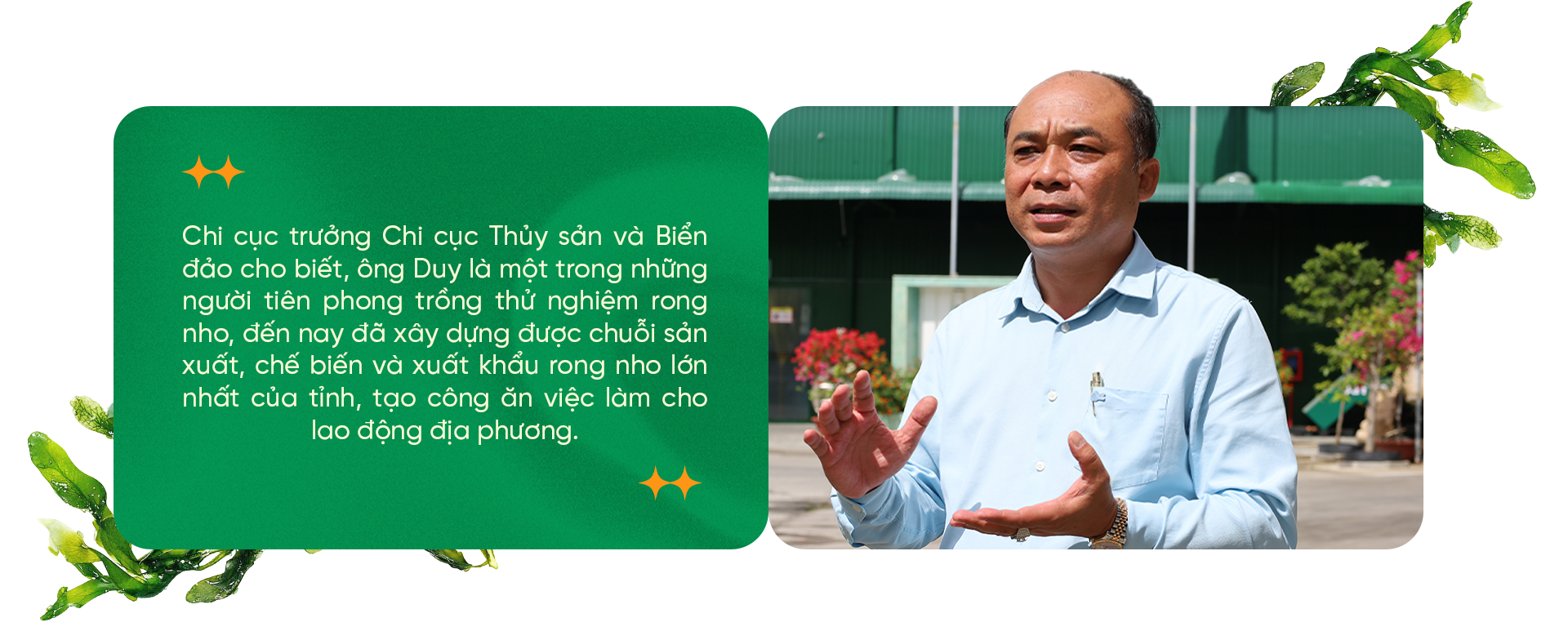 Ngã rẽ liều lĩnh và hành trình triệu USD của loại trứng mọc từ cây - 17 Ngã rẽ liều lĩnh và hành trình triệu USD của loại trứng mọc từ cây - 17