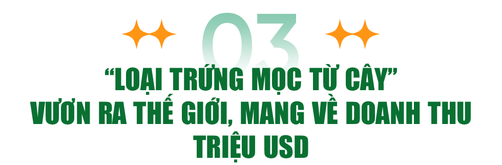 Ngã rẽ liều lĩnh và hành trình triệu USD của loại trứng mọc từ cây - 13 Ngã rẽ liều lĩnh và hành trình triệu USD của loại trứng mọc từ cây - 13