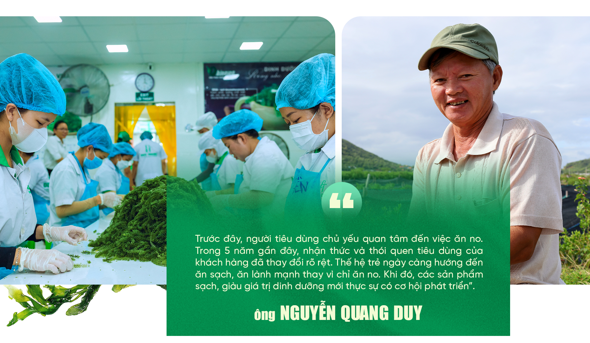 Ngã rẽ liều lĩnh và hành trình triệu USD của loại trứng mọc từ cây - 11 Ngã rẽ liều lĩnh và hành trình triệu USD của loại trứng mọc từ cây - 11