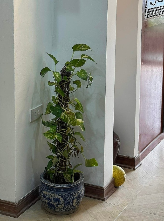 Ảnh: Bích Phương