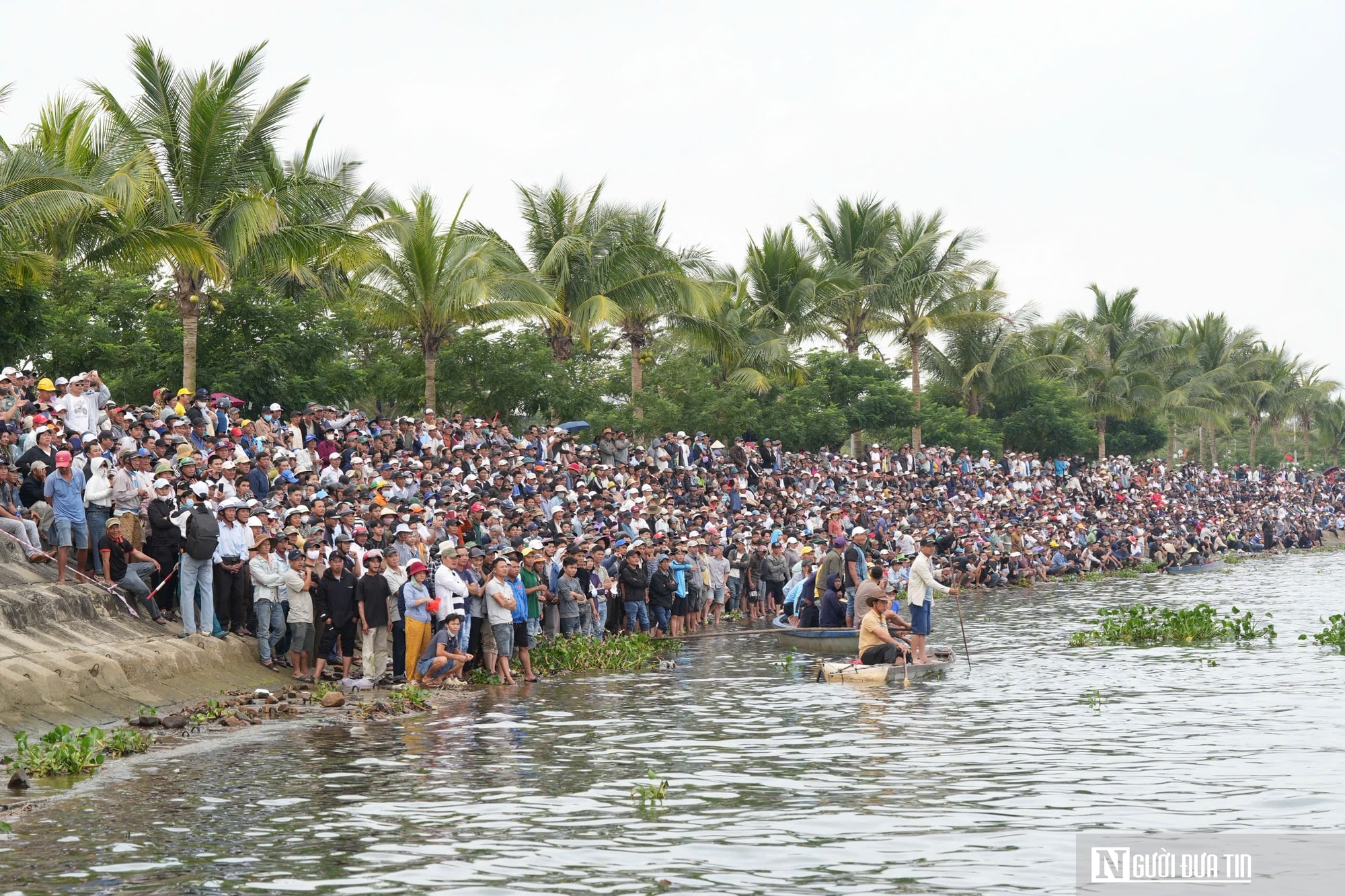 Đà Nẵng: Nhịp chèo khai xuân và khát vọng vươn mình của vùng cửa biển- Ảnh 1.