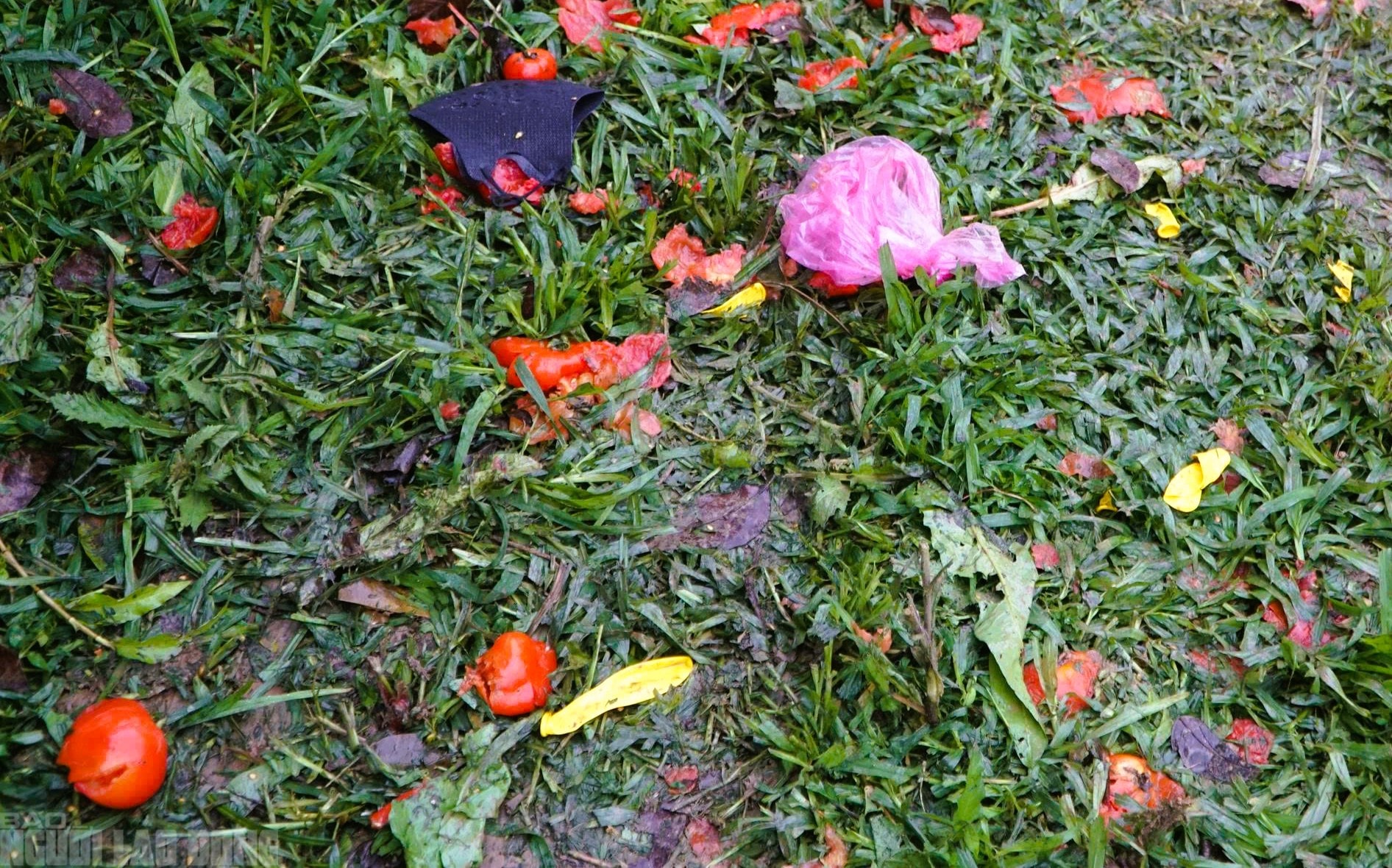 Cứ nhằm ngày 6 Tết, người dân lại kéo nhau đi chợ "choảng nhau" cầu may - Ảnh 13.