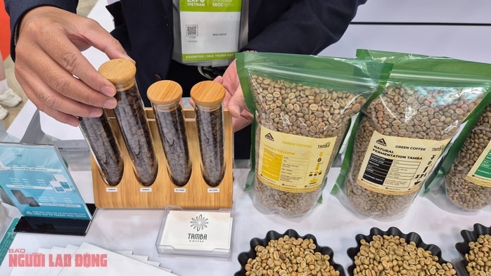 Giá cà phê hôm nay 26 - 2: Robusta tăng trong bối cảnh Brazil khan hàng - Ảnh 2. Giá cà phê hôm nay 26 - 2: Robusta tăng trong bối cảnh Brazil khan hàng - Ảnh 2.