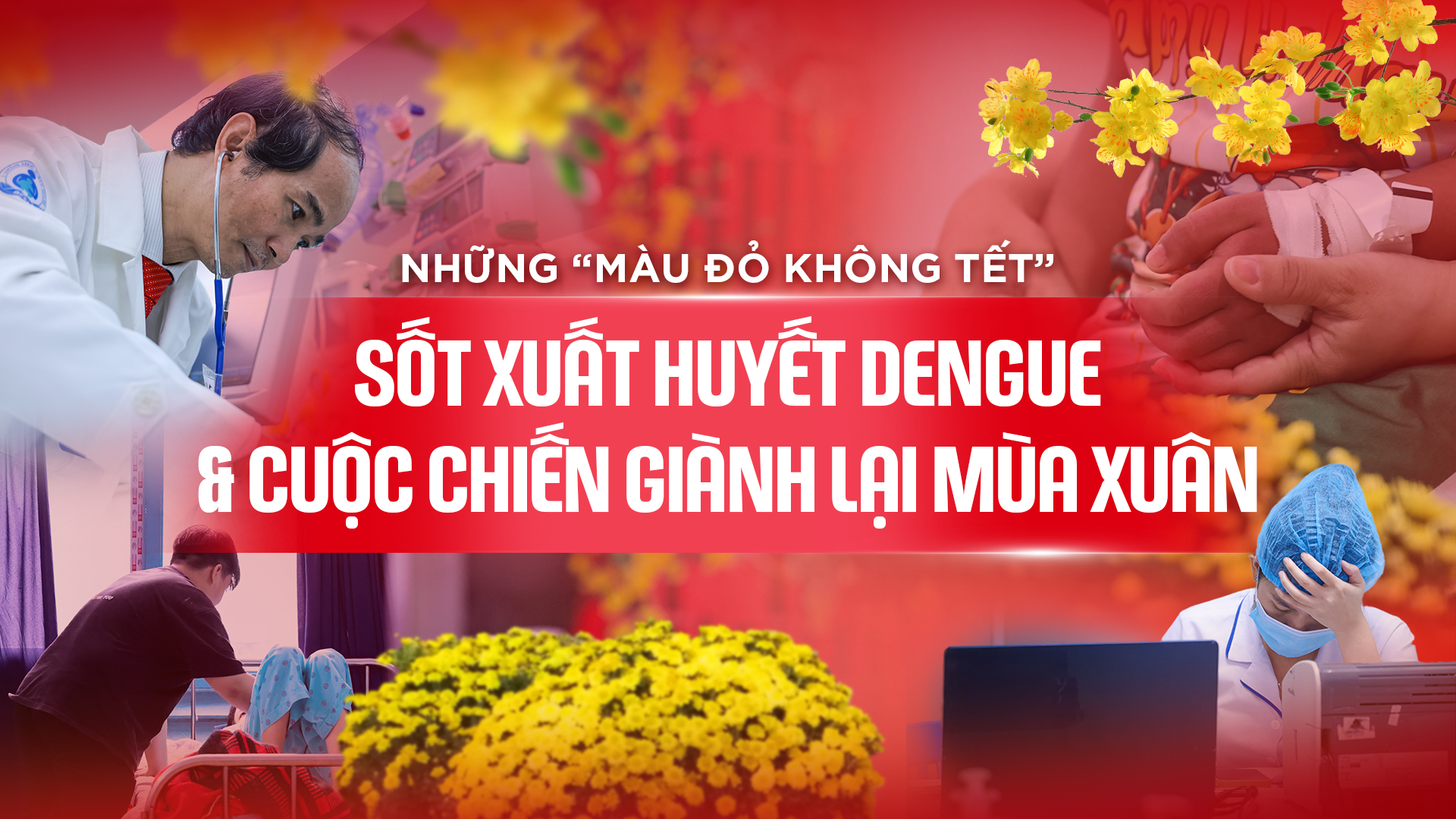 Những màu đỏ không Tết: Sốt xuất huyết Dengue & cuộc chiến giành lại mùa Xuân