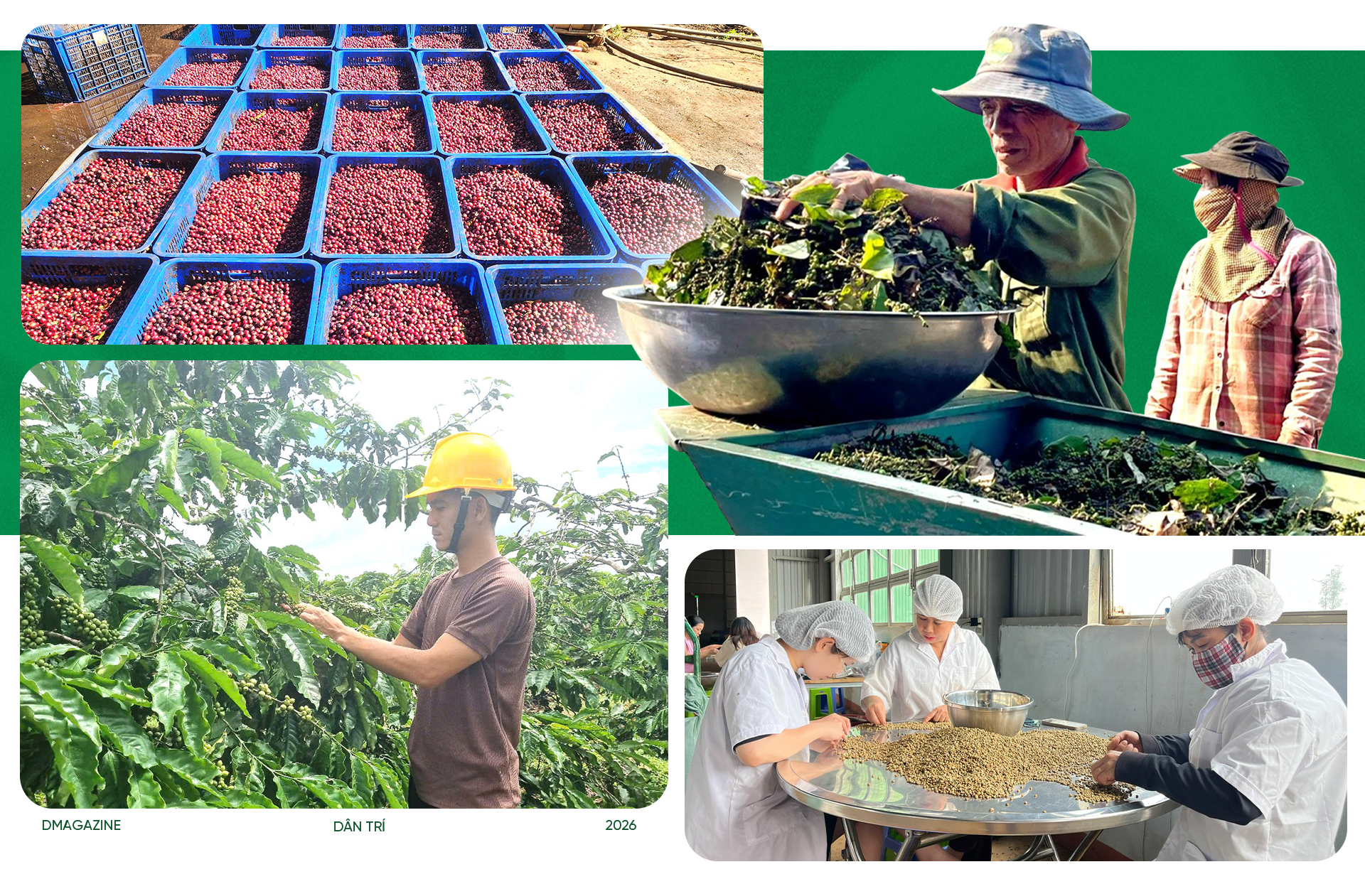 Bị chê “điên” khi về làm nông, người đàn ông ẵm trọn 5 sản phẩm quốc gia - 13