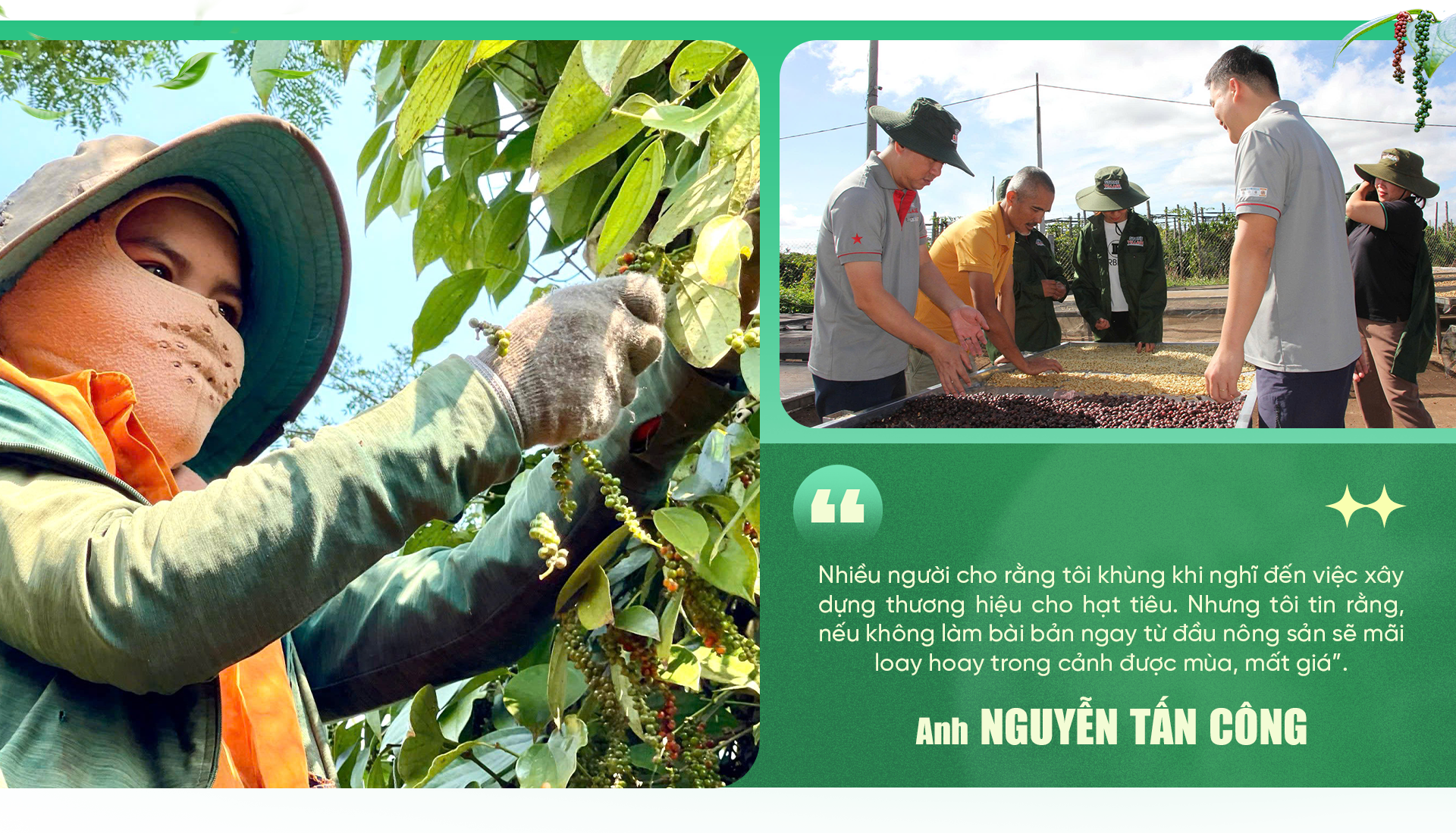 Bị chê “điên” khi về làm nông, người đàn ông ẵm trọn 5 sản phẩm quốc gia - 7