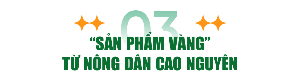 Bị chê “điên” khi về làm nông, người đàn ông ẵm trọn 5 sản phẩm quốc gia - 15