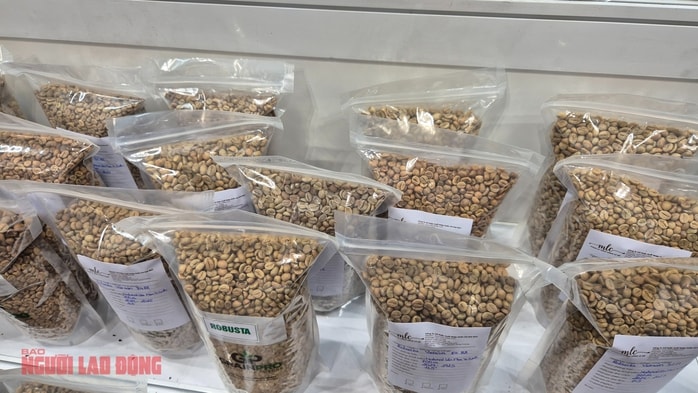 Giá cà phê hôm nay 27 - 2: Thị trường đang trên đà cân bằng? - Ảnh 2. Giá cà phê hôm nay 27 - 2: Thị trường đang trên đà cân bằng? - Ảnh 2.