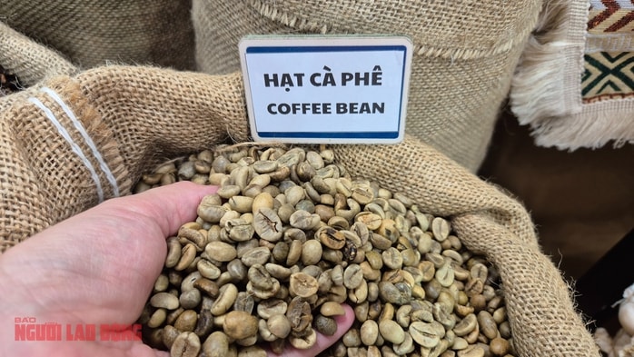 Giá cà phê hôm nay 28-2: Biến động liên tục, Chủ tịch VICOFA nói gì? - Ảnh 1.