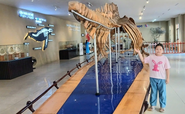 Nườm nượp người đi xem bộ xương động vật quý hiếm khổng lồ ở Khánh Hòa- Ảnh 3.