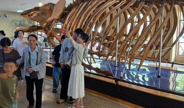 Nườm nượp người đi xem bộ xương động vật quý hiếm khổng lồ ở Khánh Hòa- Ảnh 9.