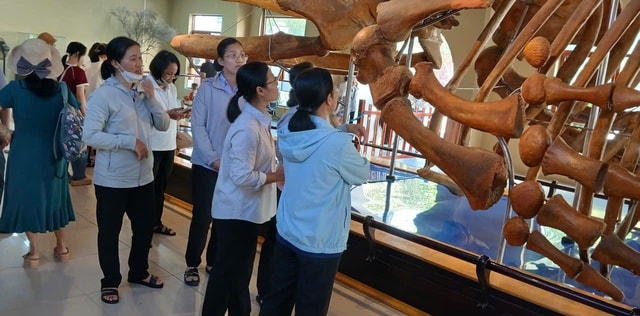 Nườm nượp người đi xem bộ xương động vật quý hiếm khổng lồ ở Khánh Hòa- Ảnh 10.