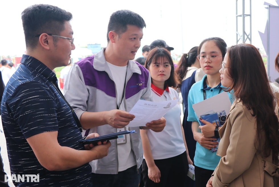 Cô gái mang CV song ngữ đi ứng tuyển việc làm - 2