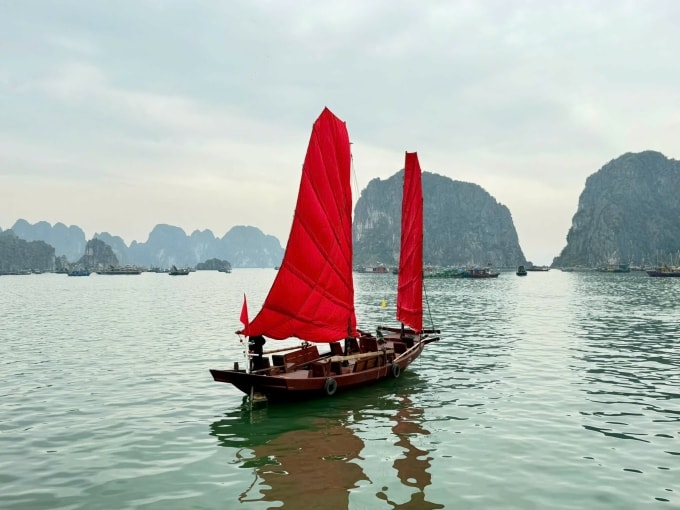 Thuyền ba vách cánh dơi do nghệ nhân Lê Đức Chắn chế tạo trên vịnh Hạ Long, tháng 2/2026. Ảnh: Lê Tân.