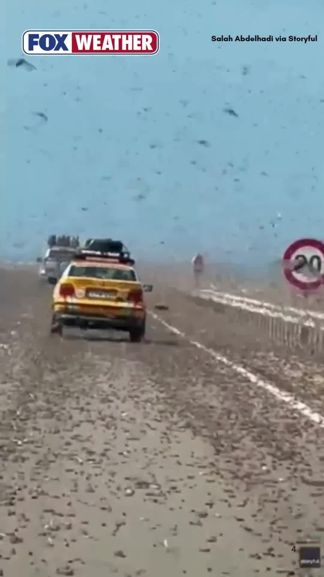 Khoảnh khắc như 'tận thế' khi lái xe qua đàn châu chấu ở Sahara