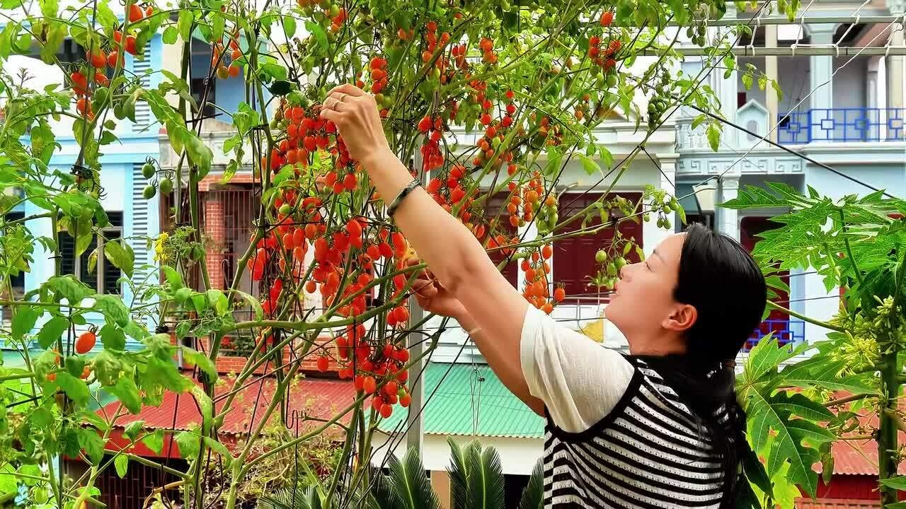 Nuôi gà, trồng rau, thả cá trên sân thượng