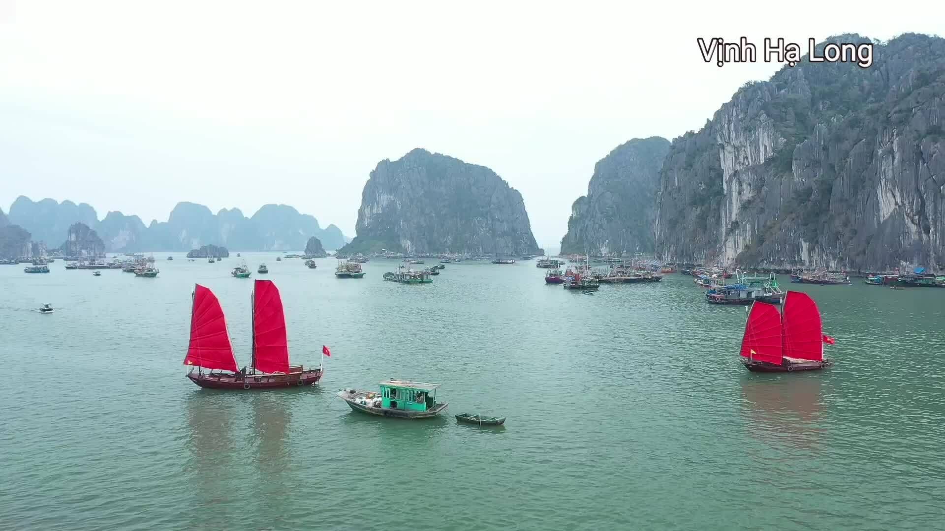 Người giữ nghề đóng thuyền buồm ba vách cánh rơi (Bài Tết)