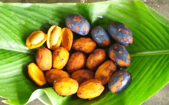 Loại quả xưa không ai thèm nhặt, giờ thành đặc sản tốt như "thuốc quý"- Ảnh 3.