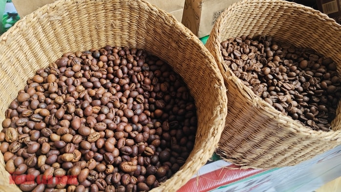 Giá cà phê hôm nay 1-3: Giữ giá tốt, là nhà cung cấp thứ 2 cho Hàn Quốc - Ảnh 1.