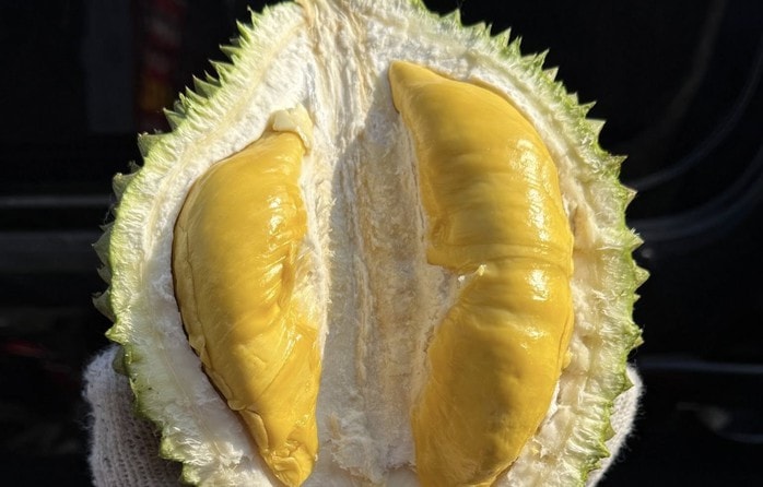 Giá sầu riêng Musang King bất ngờ rẻ hơn Monthong - Ảnh 2.