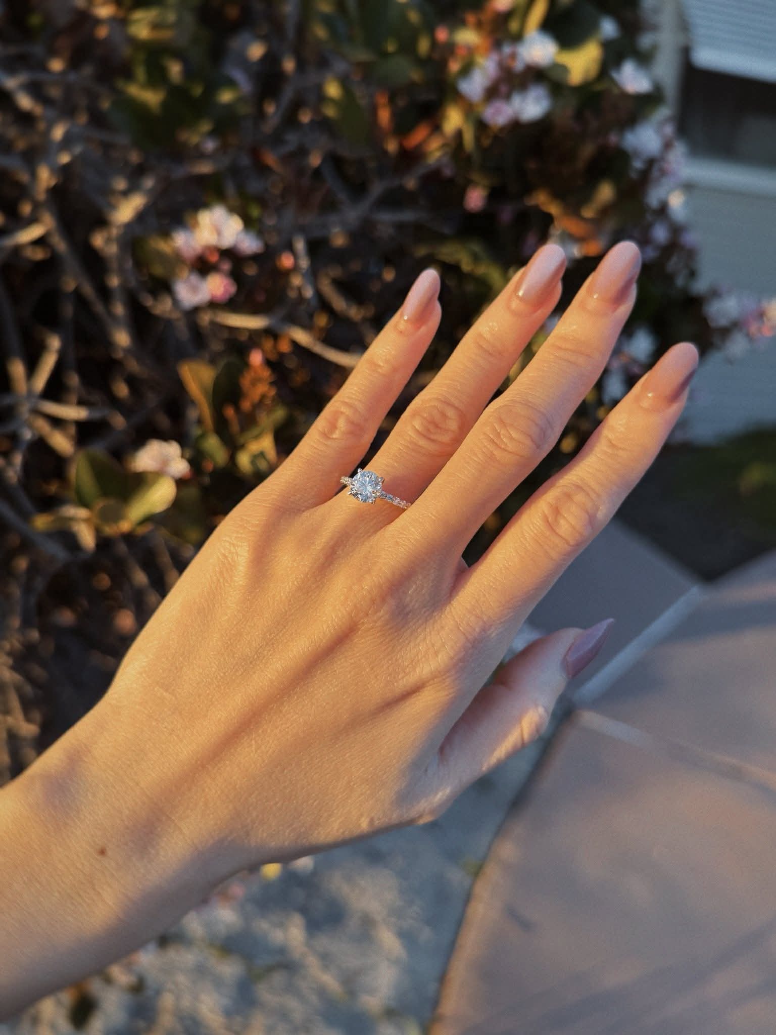 Chân dung chồng sắp cưới là Việt kiều Mỹ của 'bé' Xuân Nghi- Ảnh 2.