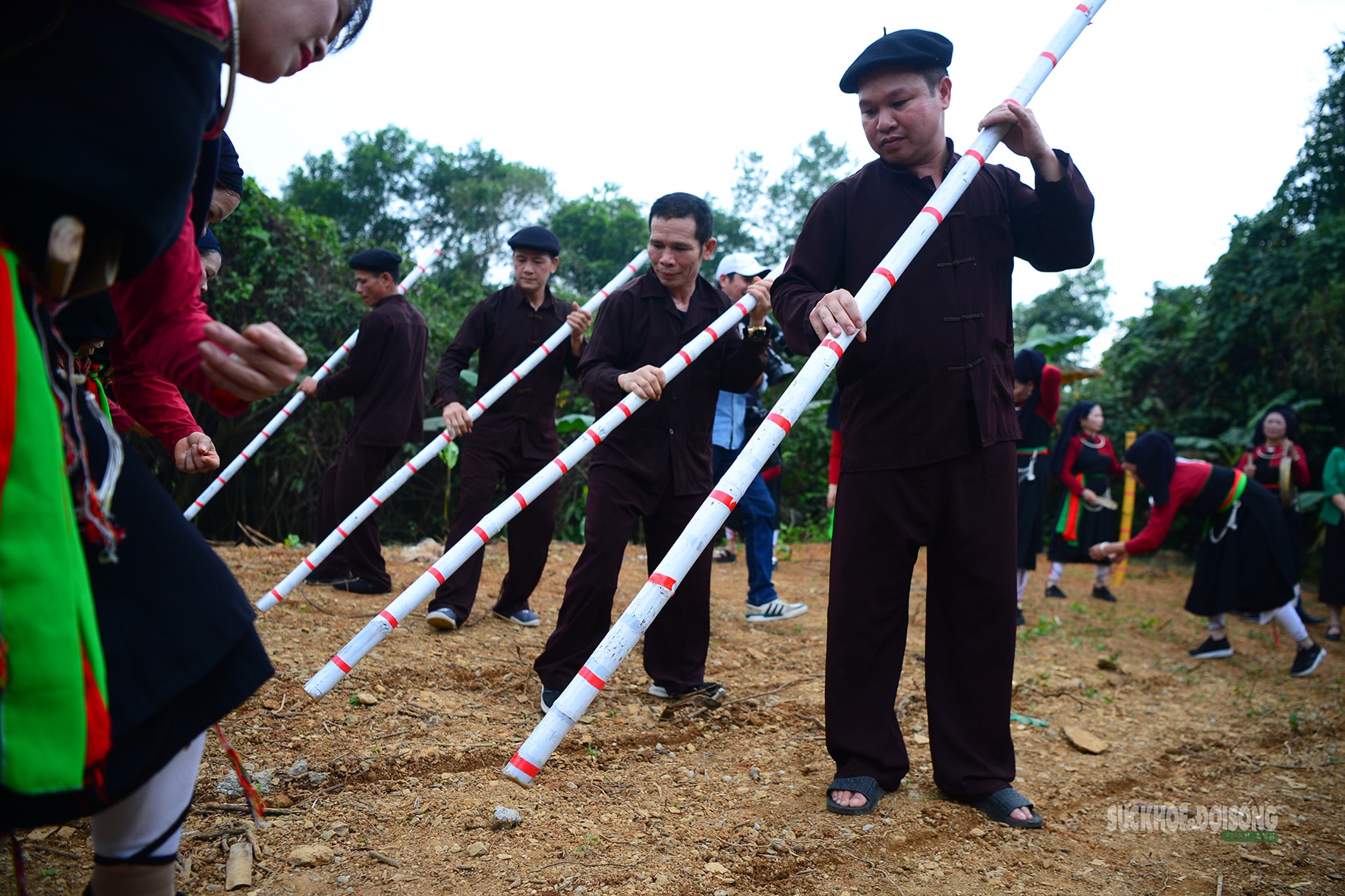 Gieo hạt mùa xuân giữa lòng Hà Nội- Ảnh 9.