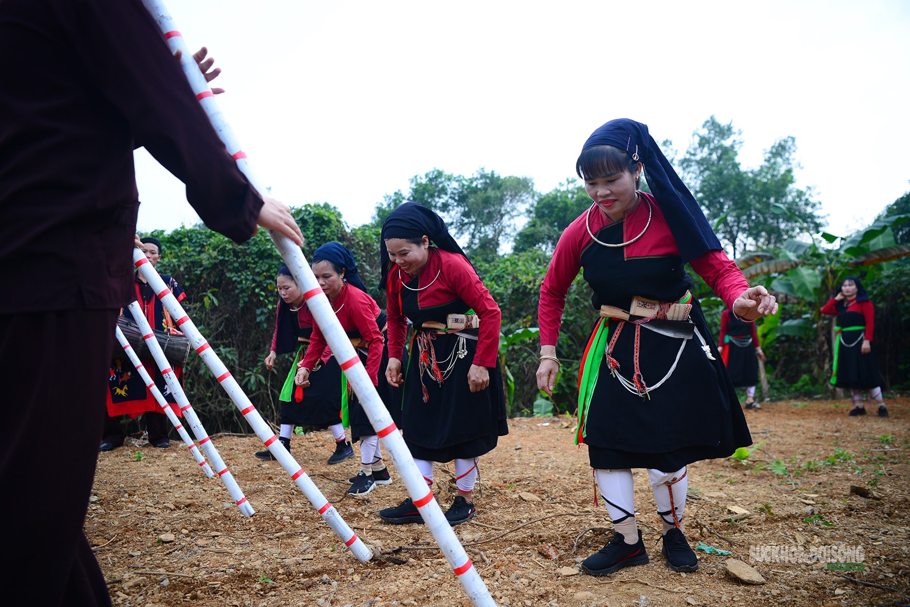 Gieo hạt mùa xuân giữa lòng Hà Nội- Ảnh 6.