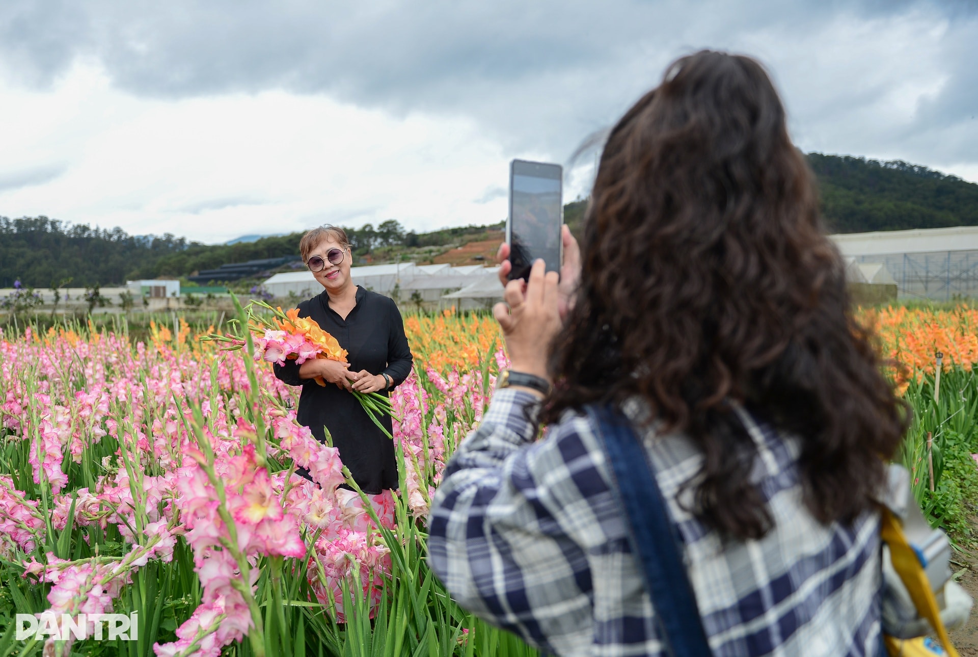 Vườn hoa Tết nở muộn và cú “quay xe” gỡ vốn bất ngờ của nông dân Đà Lạt - 5