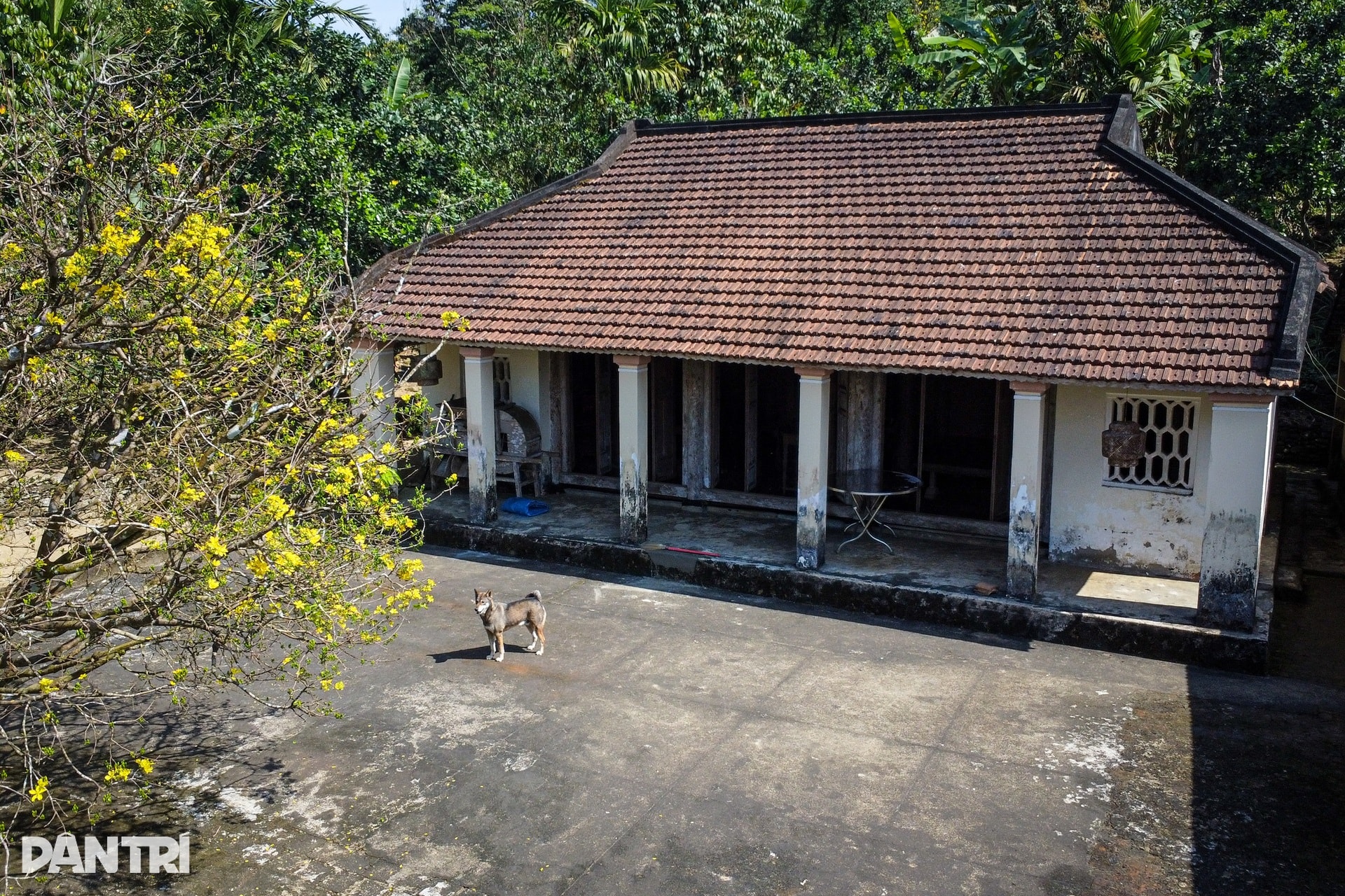 Bí ẩn chiếc bàn tự xoay trong ngôi nhà cổ bằng gỗ hơn 150 năm tuổi - 10