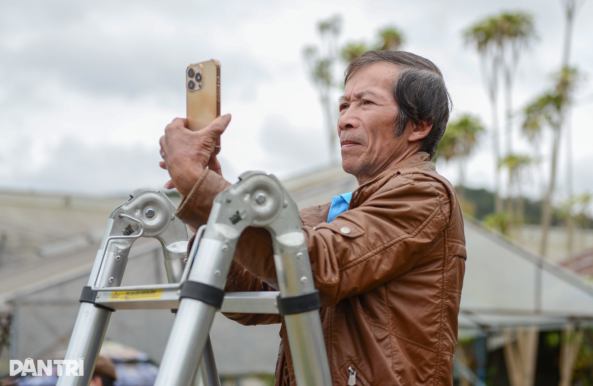 Vườn hoa Tết nở muộn và cú “quay xe” gỡ vốn bất ngờ của nông dân Đà Lạt - 9