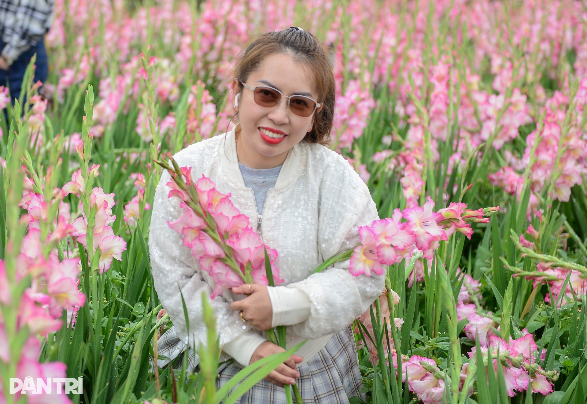 Vườn hoa Tết nở muộn và cú “quay xe” gỡ vốn bất ngờ của nông dân Đà Lạt - 6