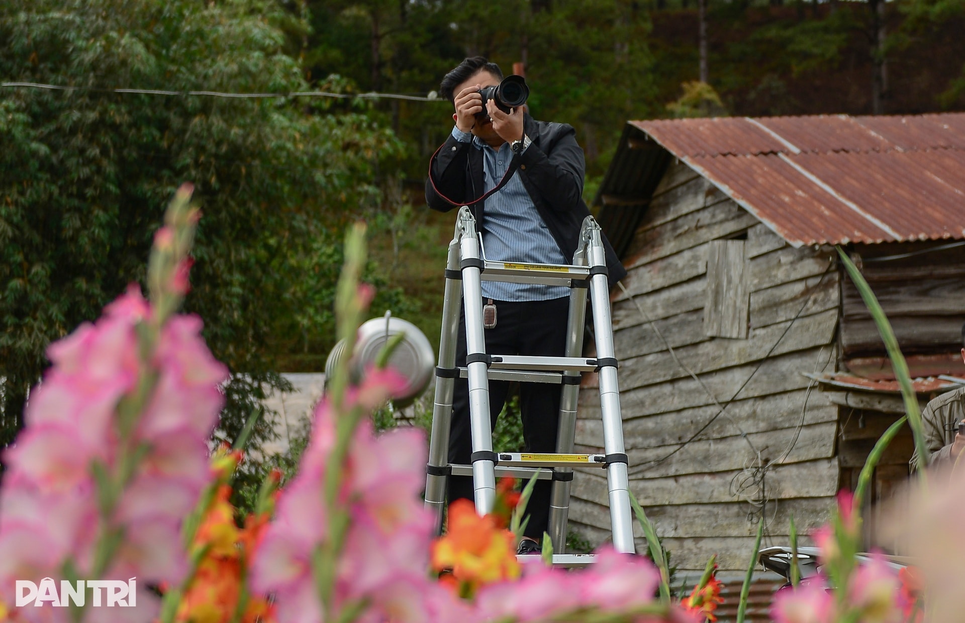 Vườn hoa Tết nở muộn và cú “quay xe” gỡ vốn bất ngờ của nông dân Đà Lạt - 7